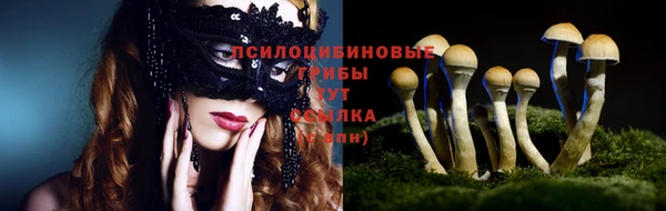 ПСИЛОЦИБИНОВЫЕ ГРИБЫ Дмитриев