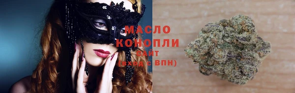 ПСИЛОЦИБИНОВЫЕ ГРИБЫ Дмитриев