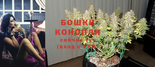 mdpv Гусиноозёрск