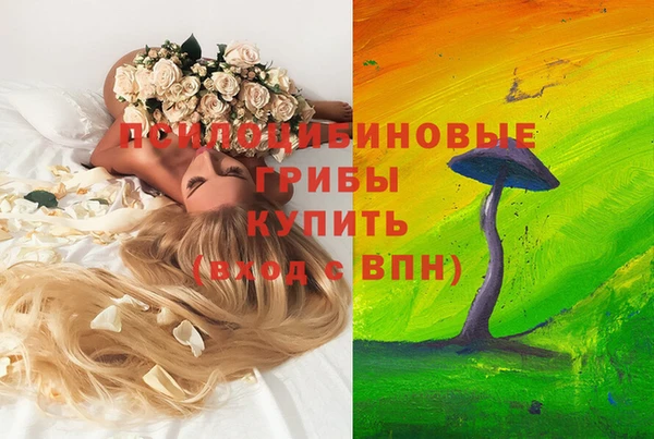 соль курить ск Гусев