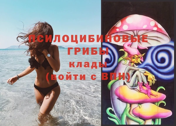гидропоника Гусь-Хрустальный