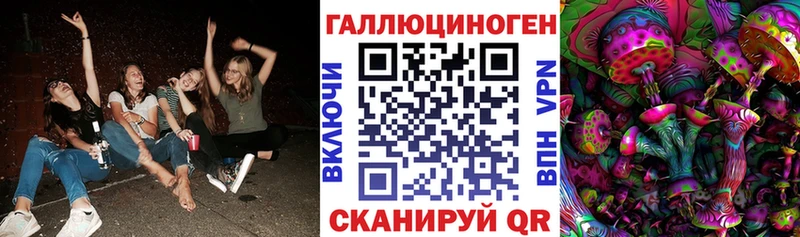Галлюциногенные грибы Psilocybine cubensis Купить где Чердынь