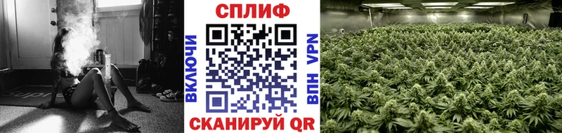 Купить закладки  Чердынь  Каннабис марихуана 